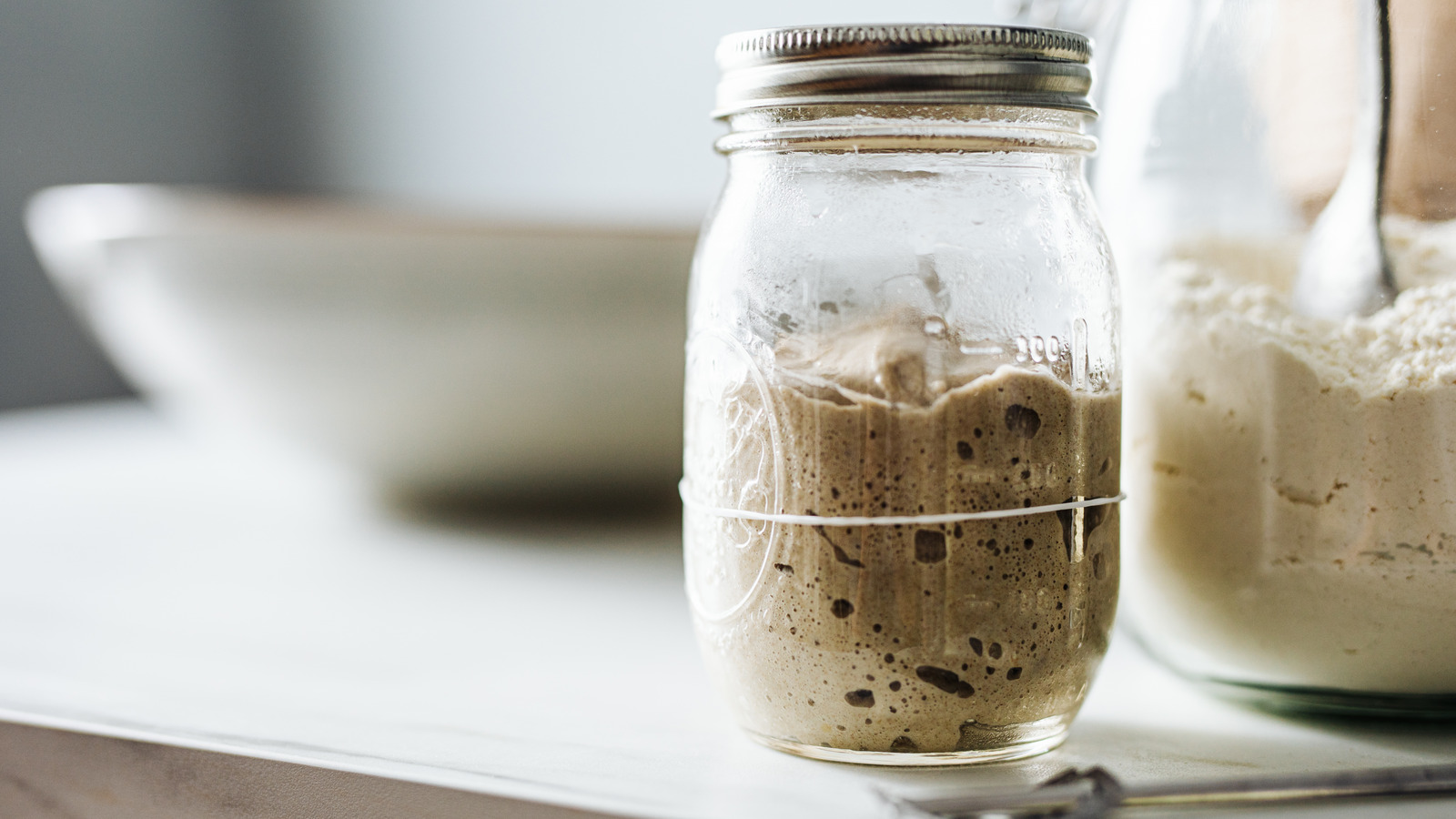 Need A Break From Homemade Sourdough? Just Dry Your Starter