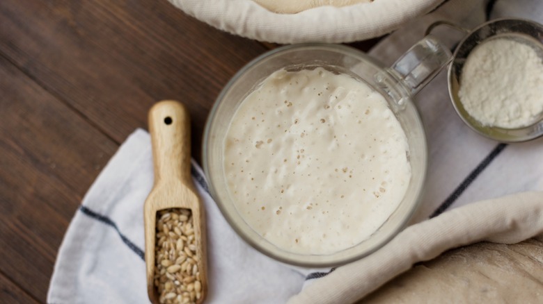 Active sourdough starter from above