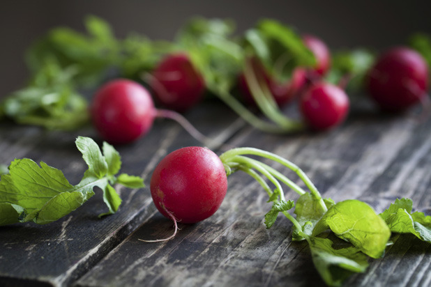 Radishes