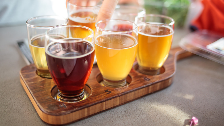 A flight of craft beer