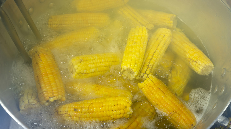 corn on the cob in pot of boiling water