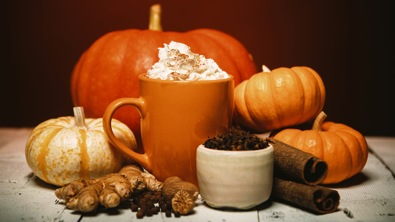 fall spices and pumpkins with drink mug