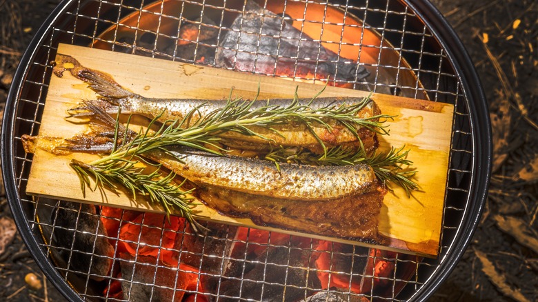 grill with fish and herbs on cedar plank