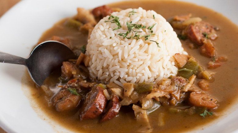 Andouille gumbo and rice