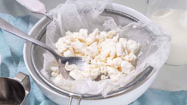 curds in cheesecloth in strainer