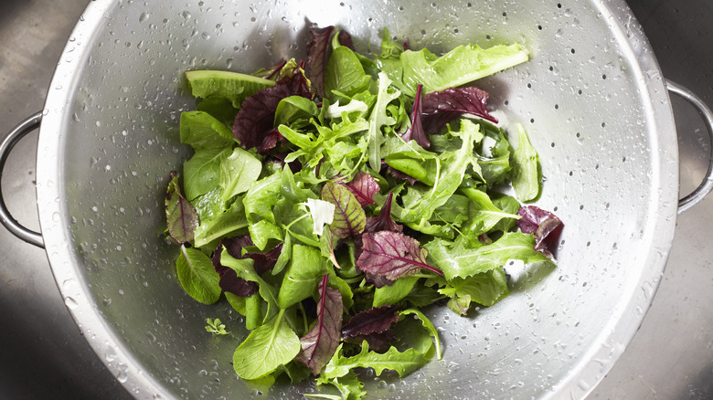 Salad greens in colander