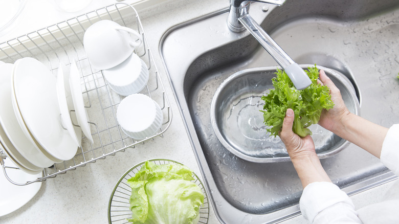 How to Wash Lettuce With or Without Salad Spinner