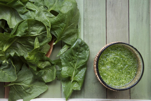 Spinach-Kale-Cilantro Juice Blend