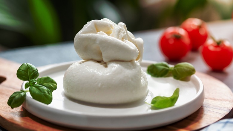 Fresh burrata on a plate