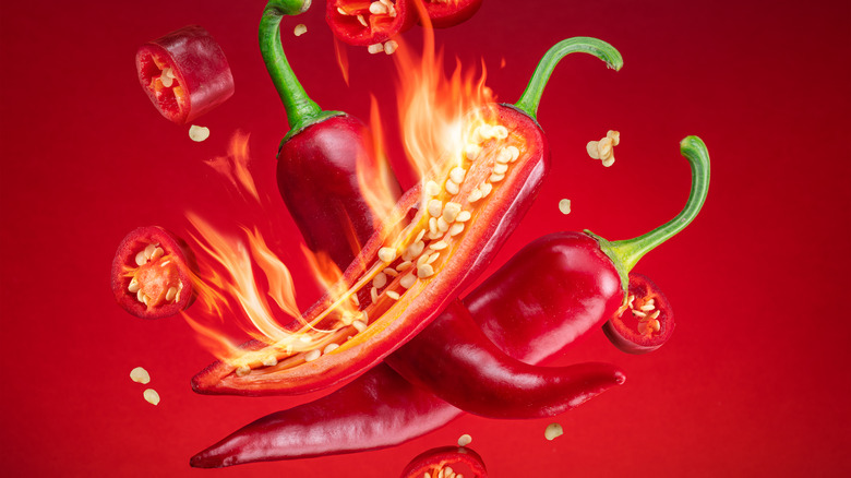 hot chili peppers with flames