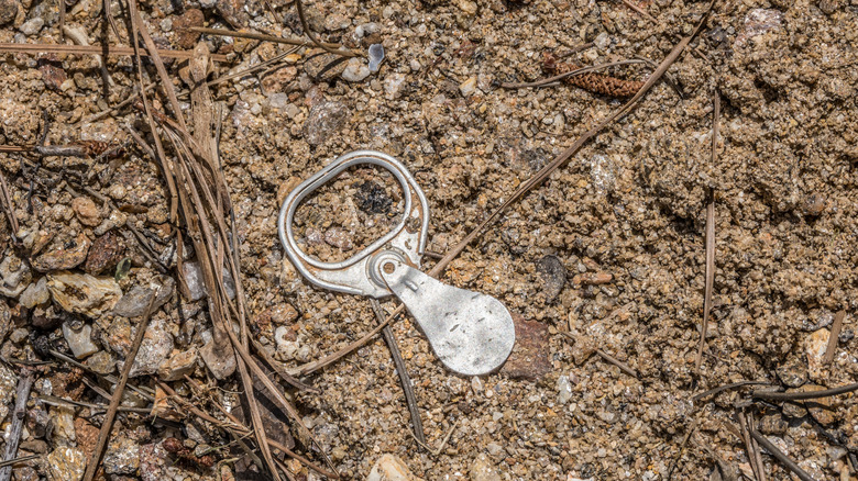 A pull tab in the dirt