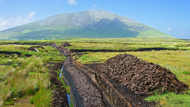 Irish peat bog with mountain