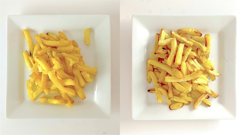 Oven and air fryer fries