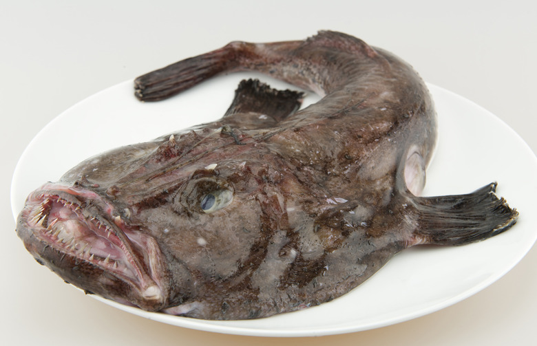 Monkfish