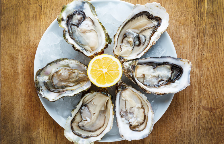 Oysters 