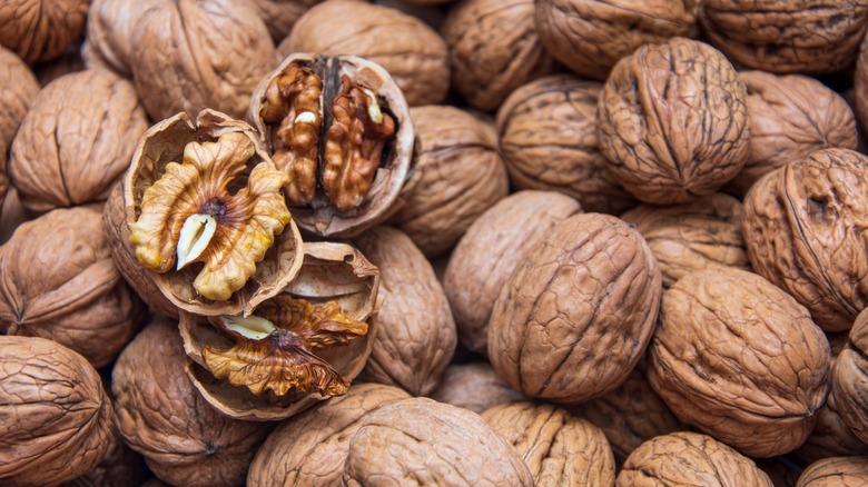 walnuts in shells