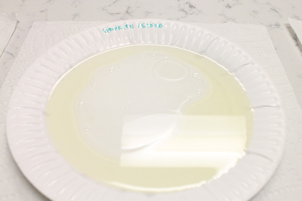 Soak-Through Resistance Test — Store Brand White