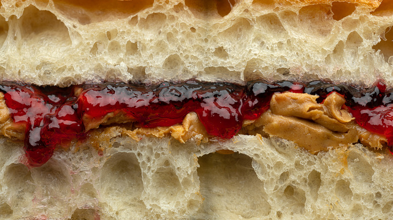 Cross section of peanut butter and jelly sandwich