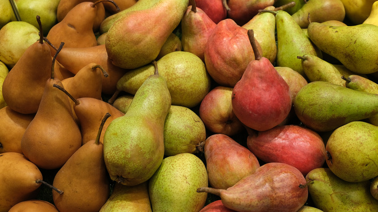 different varieties of pear