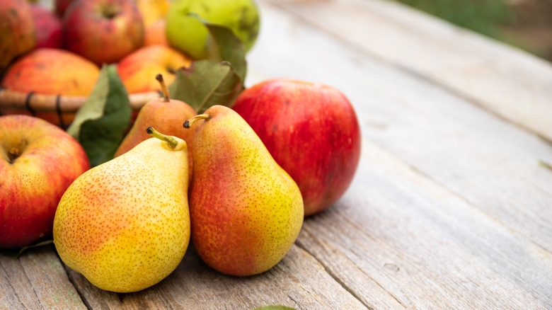 fresh pears and apples on rustic wooden table