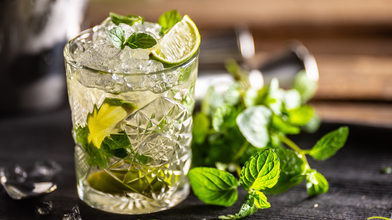 mojito with lime and spearmint