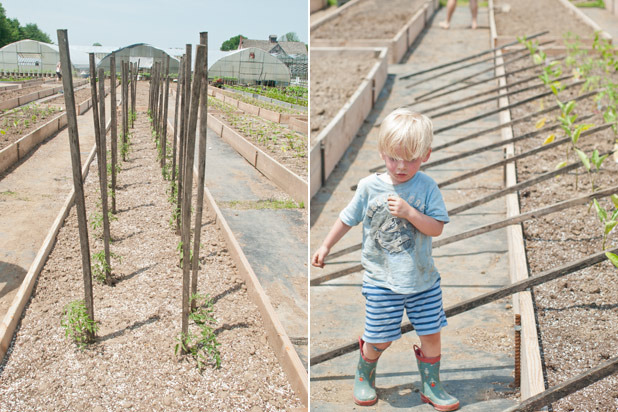 Gilbertie's Herbs