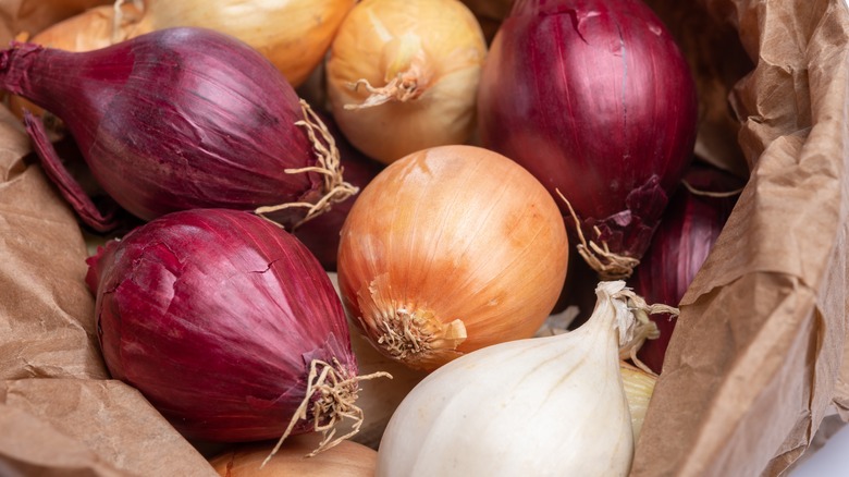 Various types of onions 