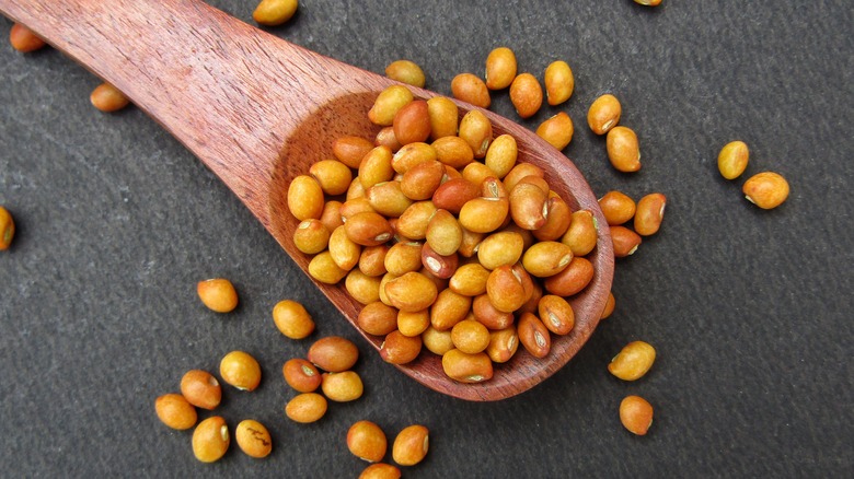 A spoon of dried pigeon peas