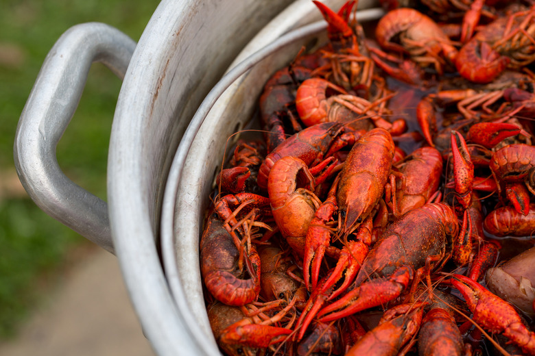 Crayfish/Crawfish/Crawdad