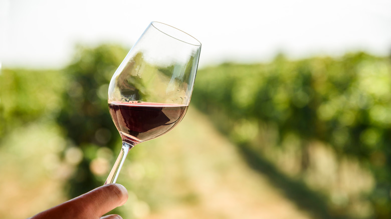 glass of wine held in front of vineyard