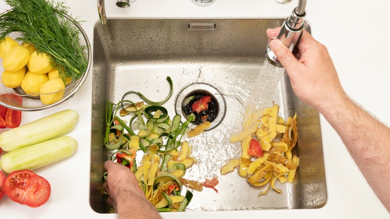 vegetable peels and garbage disposal