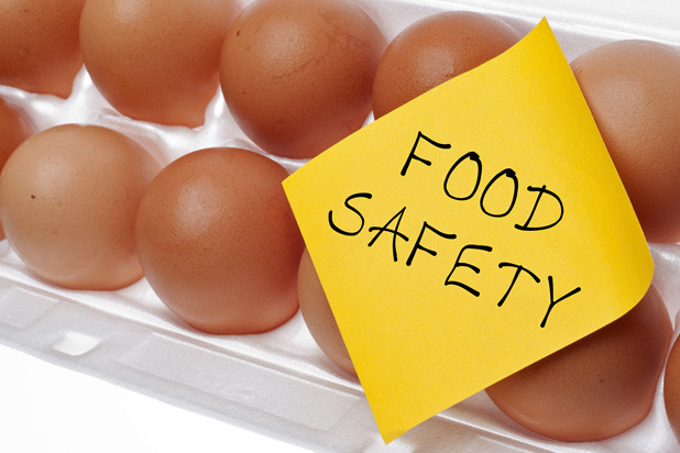 FDA and Food Safety Regulation