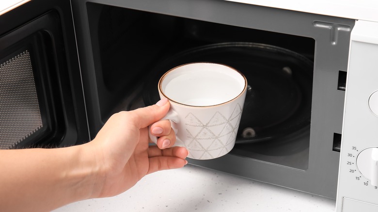 hand placing water in microwave