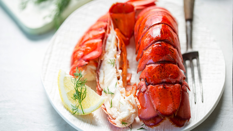 Lobster tail with lemon and dill