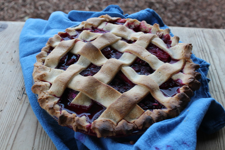 Prickly Pear Pie