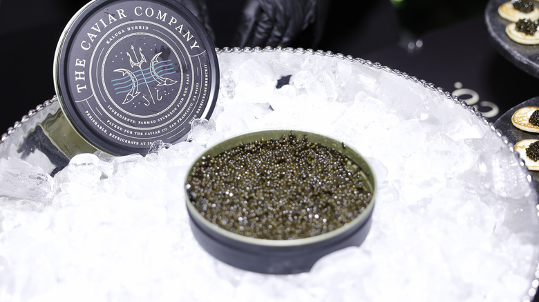 Open tin of caviar on ice