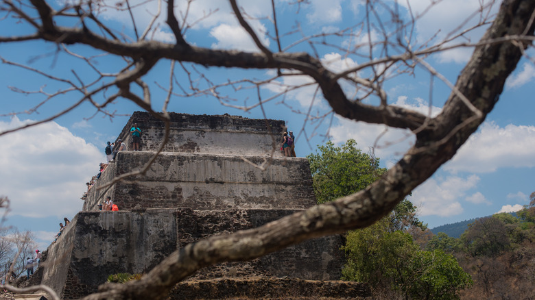 Palace of Mayahuel