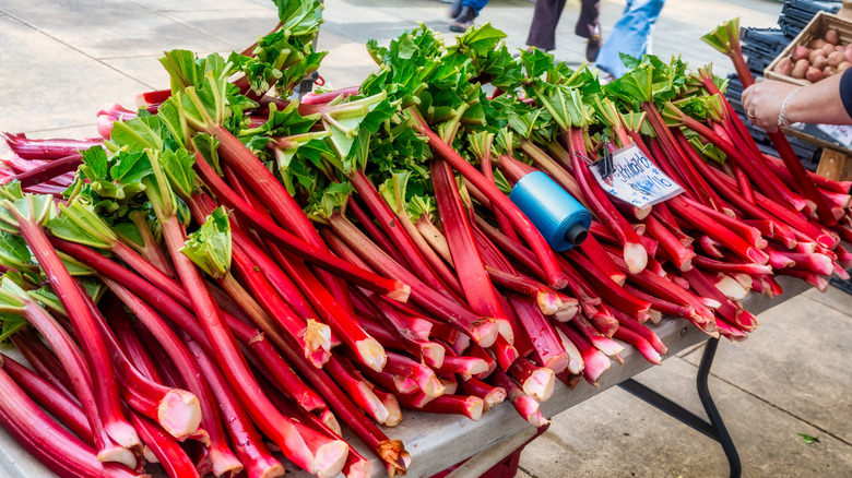 Rhubarb on a table