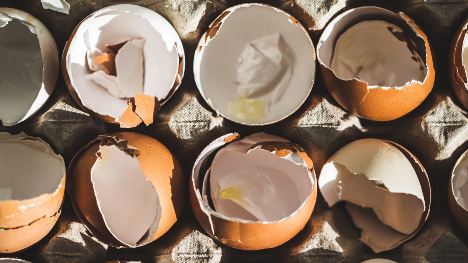 putting-eggshells-back-in-the-carton-is-a-disaster-waiting-to-happen