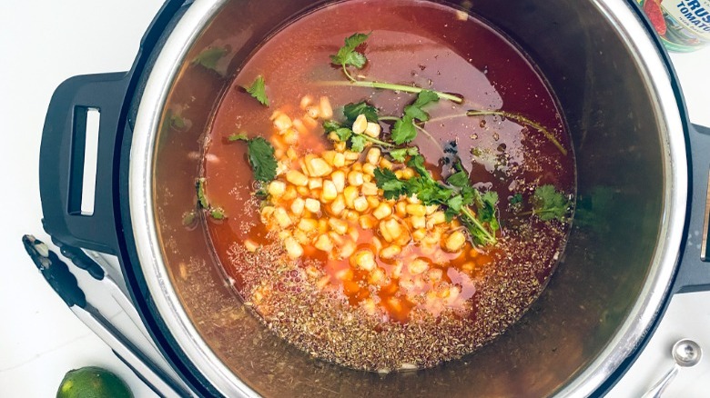 soup in instant pot before cooking