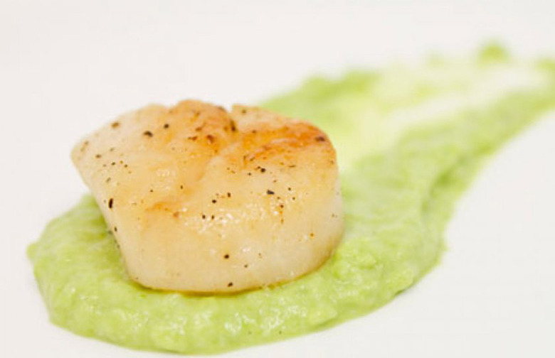 Seared Scallops With Pea Purée