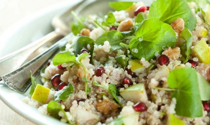 Quinoa Salad Recipes for Every Season