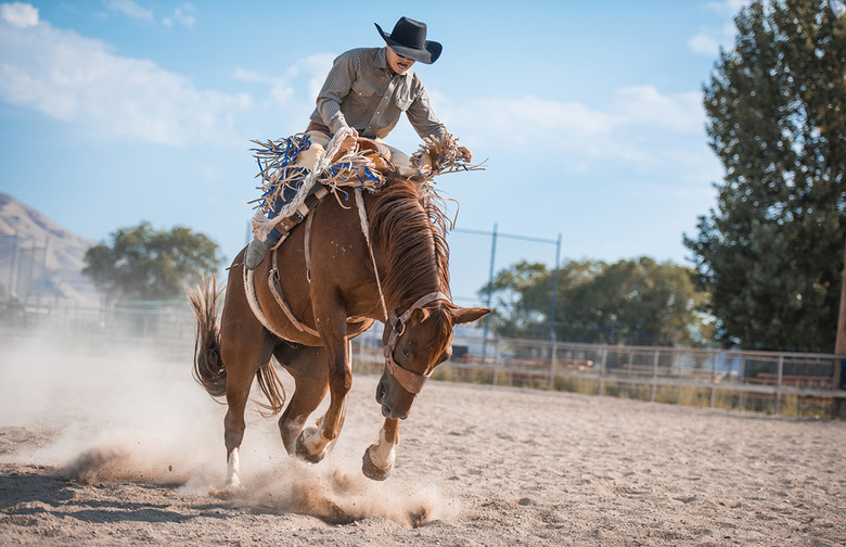 Bucking horse and rider