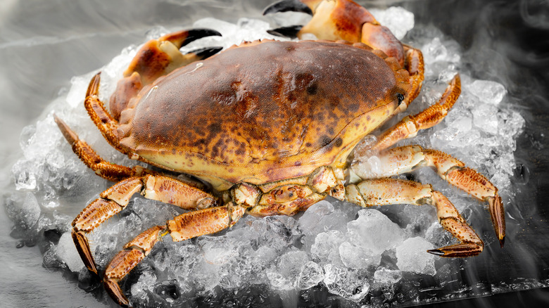 crab on ice