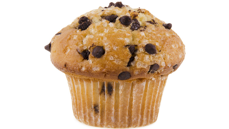 chocolate chip muffin