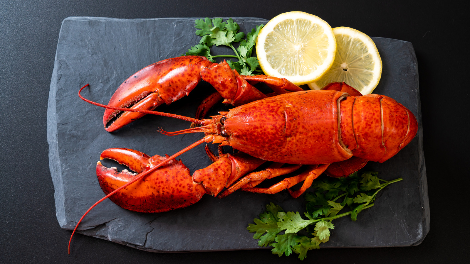 Red Lobster Is Hosting A Free Endless Lobster Party In NYC Here s How 