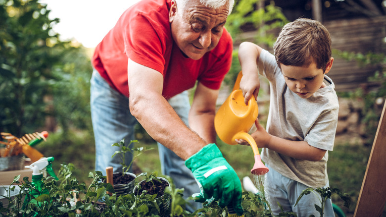 Grandfather and young boy watering plants in the garden