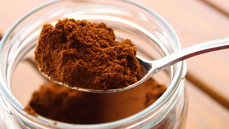 Spoonful of ground coffee