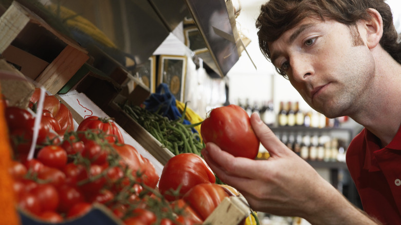 man inspecting a tomato