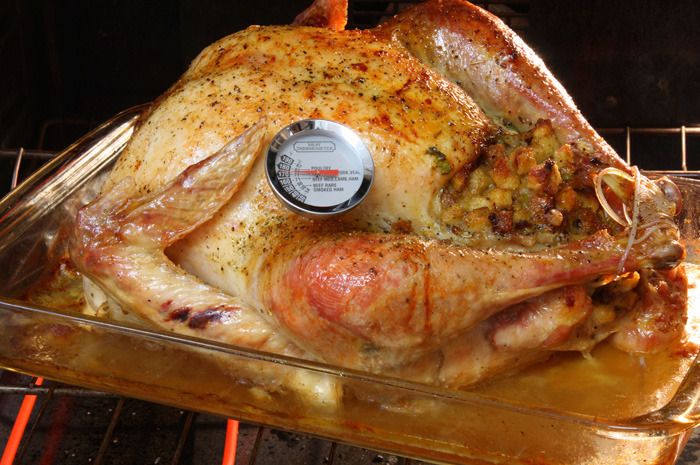 Meat Thermometer